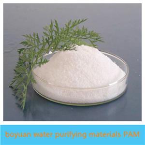 Beer Beverage Factory Wastewater Treatment Cationic Polyacrylamide CPAM