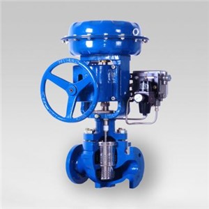 Multi Hole Contorl Valve