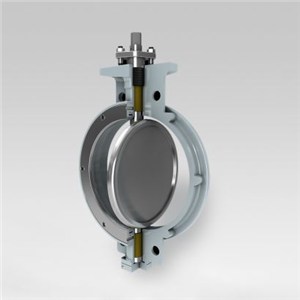 High Performance Butterfly Valves