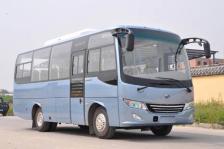 31 Seats CNG Tour Bus