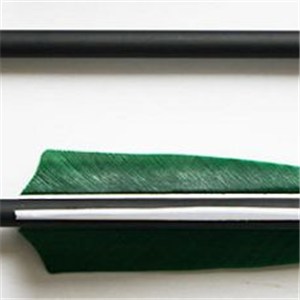 Fiberglass Arrows For Compound Bow Recurve Bow Archery Recurve Bow