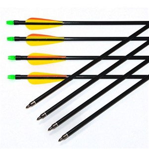Fiberglass Arrow For Practicing Competition Hunting