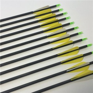 Wholesale Archery Arrow Outdoor Carbon Fiber Arrows For Hunting
