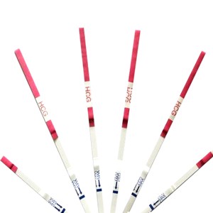 LH Ovulation Test Strip