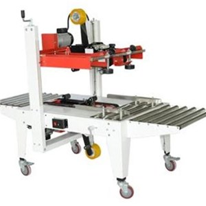 Professional Packing Machine with Skillful Technician Repair Service Available to Oversea
