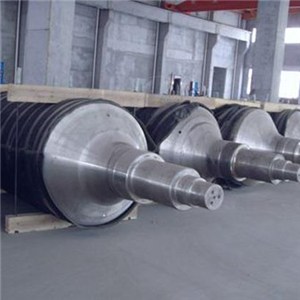 Vertical Annealing Furnace Roller