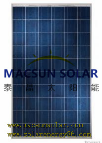 280W Poly Crystalline Solar Panels MS-SP6-60-280P