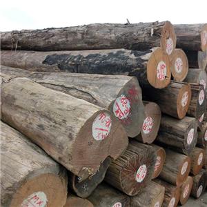 New Products 132~260 Cm Middle Part Diameter Burma Teak Wood