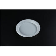 PP5 Plastic Single-compartment Disposable Plate