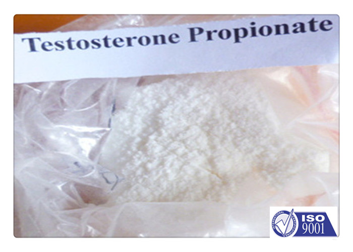 USP Standard Test Propionate Powder Body Strong Shape Testosterone Propionate
