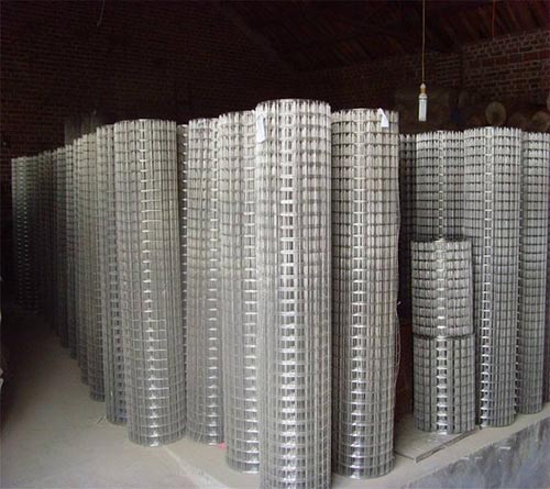 Galvanized Welded Wire Mesh, Dutch Wire Mesh