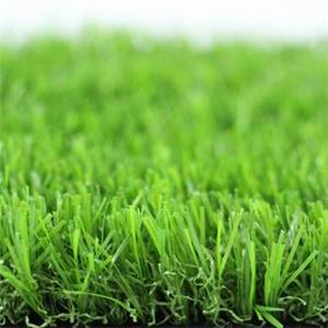 Grass for Tennis