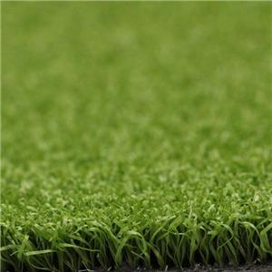 Grass for Golf