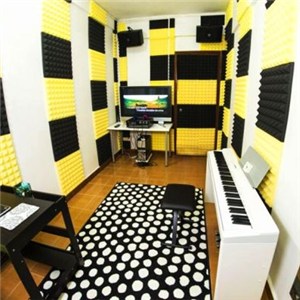 Foam For Acoustic Treatment In Churches, Synagogues, HIFI And Concert Halls