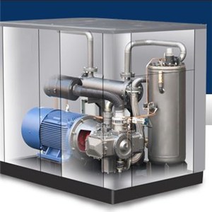 Oil Free Low Noise Explosion-proof Screw Air Compressor,anti-explosion Air Compressor