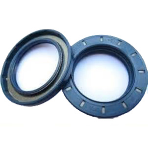 CFW Oil Seal