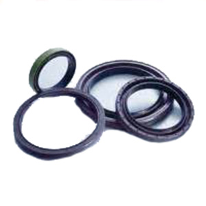 Sealtech Oil Seal