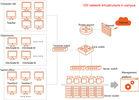 OS-Easy Cloud Terminal (X86ARM) for Virtual Desktop Infrastucutre Multi language supports