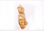 Costume Fashion Jewelry Brooches And Pins , Yellow Color Cat Brooches And Pins