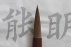 Multi Purpose Chinese Ink Brush Calligraphy Pens , Writing Art Calligraphy Felt Tip Pens