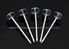Twisted Shank 3” X BWG 8 Electro Galvanized Roofing Nails For Construction