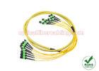 Single Mode / Multimode MTP MPO Cable For Data Center / Backbone Cabling