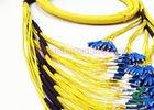 144 Core Trunk Fiber Patch Cord , Multistrand Patch Cable with Breakout Kit