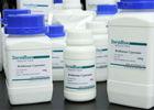 Muscle Mass Growth Boldenone Steroid Boldenone Cypionate C26H38O3 106505-90-2