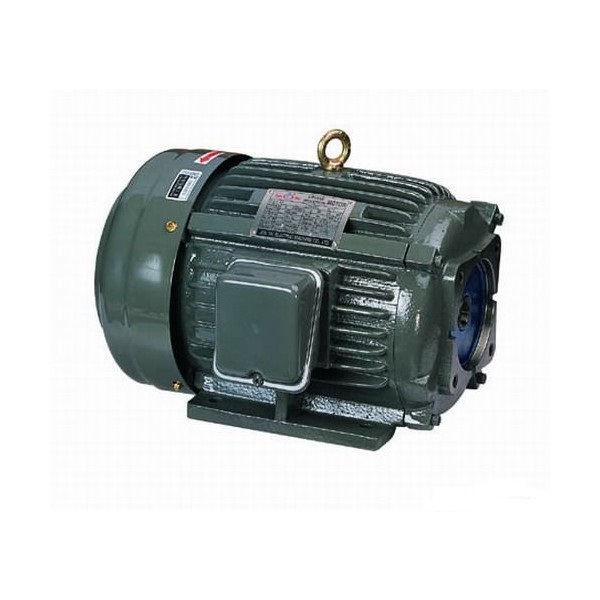 CHYUN TSEH Motor Oil Pump Motor