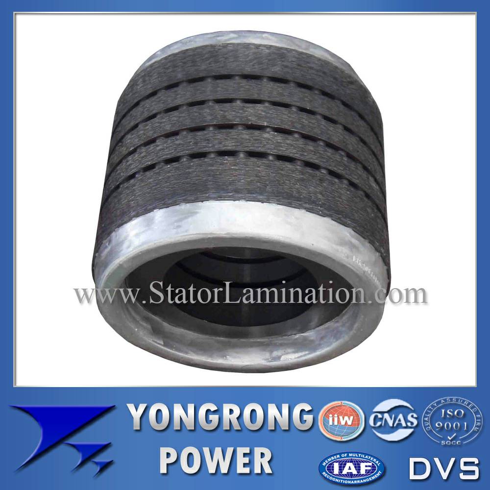 Efficiency High Voltage Electric Motor Centrifugal Aluminum Rotor Core