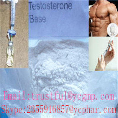 Testosterone Base for sexual enhancer