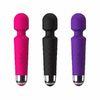Personal Vagina Vibrator Sex Toy Vagina Penis Vibrator Sex Toy Image