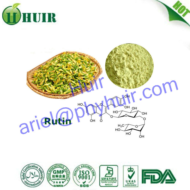 OEM Welcome traditional Chinese herbs extract sophora japonica extract rutin powder