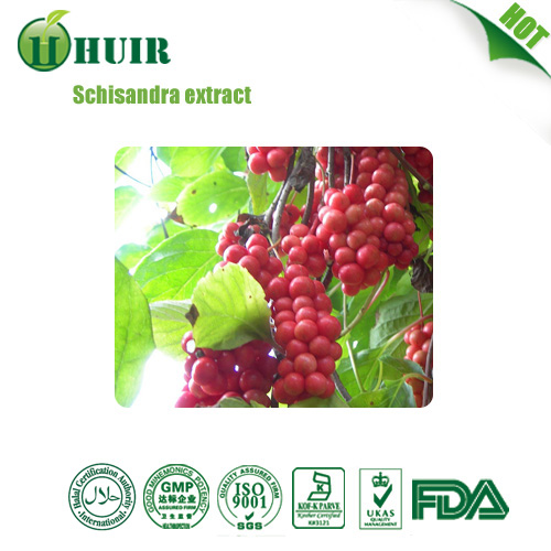 High quality schisandra chinensis extract