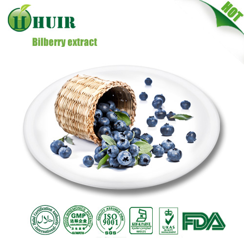 Best price 100% natural Bilberry anthocyanidin 25% extract Bilberry