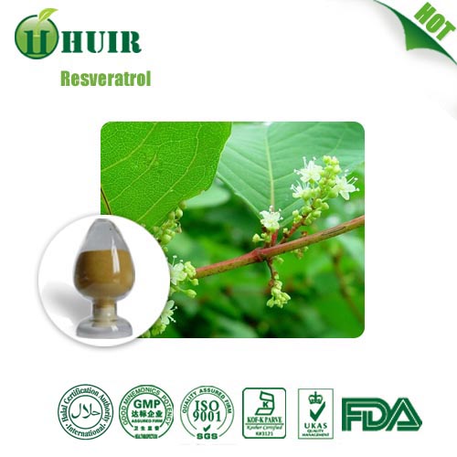 High quality: Acetyl-resveratrol 98% Polygonum Cuspidatum Extract by huir