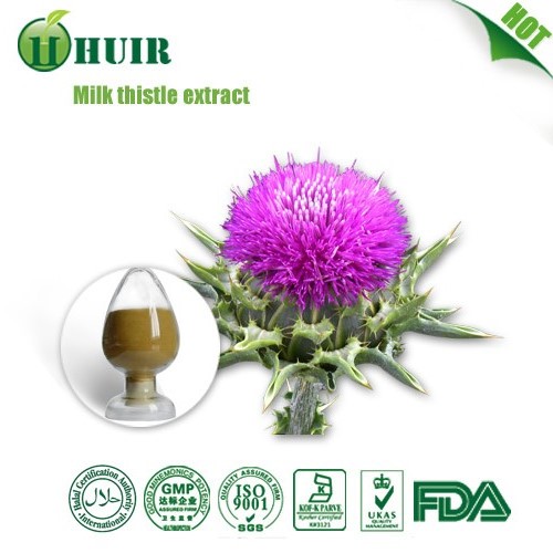 Liver support milk thistle seed extracts silymarinLiver support milk thistle seed extracts silymarin