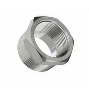 Stainless Steel Reducing Bushing