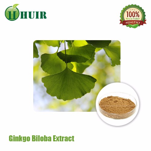 Ginkgo Biloba Extract