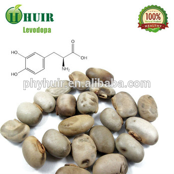 100% natural Mucuna pruriens extract