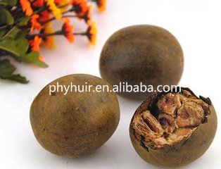 Monk Fruit Extract(luo han guo extract)