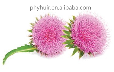 Huir high quality of silymarin 80% UV