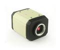 Economic 2.0MP VGA CMOS Digital Microscope Camera NCC-VGA 200 , 1600*1200 Effective Pixel