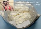 Natural Sex Hormone Powder Estradiol Benzoate for Bodybuilding CAS 50-50-0