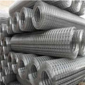 Stainless Steel Welded Wire Mesh 
