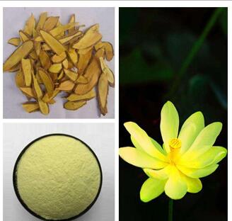 Supplement Supple Low Price Berberine Hydrochloride Extract 97%