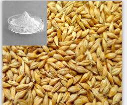 China chemical raw material Hordenine hydrochloride