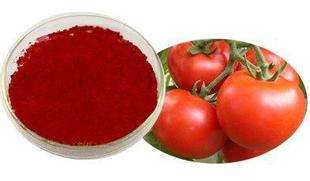 Natural Tomato Extract Lycopene 5%