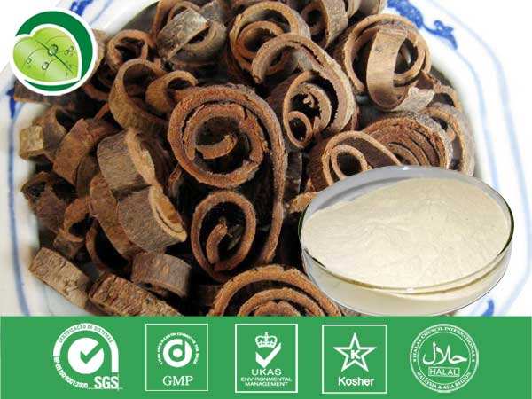 hina Manufacturer Natural Magnolol 95% Factory Supply Magnolia Bark Extract