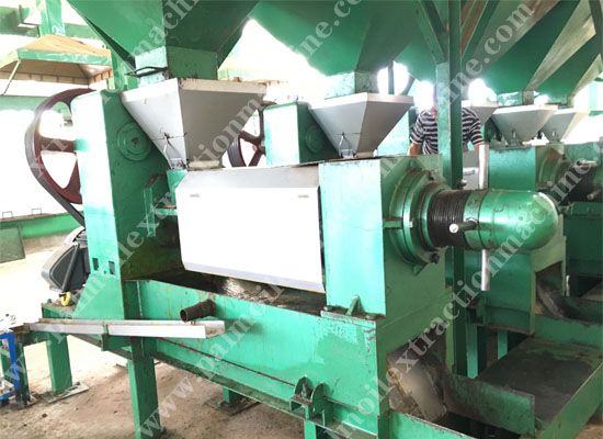 Palm kernel expeller machine 